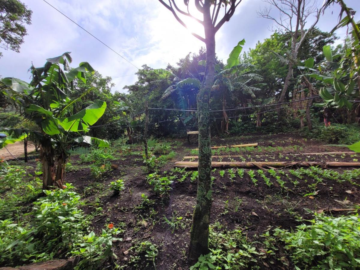 Granja Los Campesinos Monteverde Exteriér fotografie